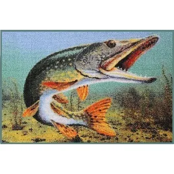 Rohožka Delphin 3D štika 60 x 40 cm