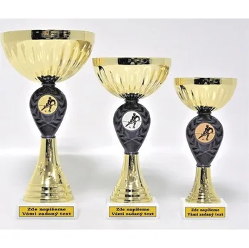 VIZINGR Hokejové poháry 312-99