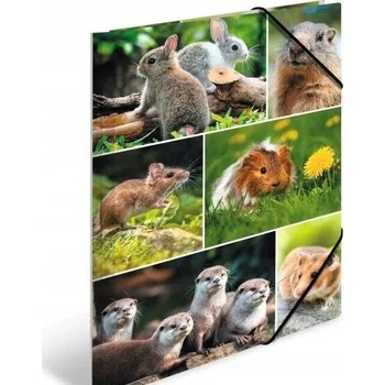 Desky s gumou A4 Herma