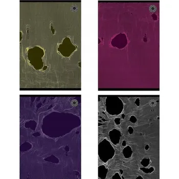 Sešit Sešit A5 s mřížkou Ziemia Obiecana, 80 listů