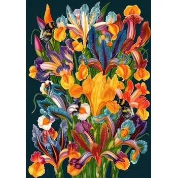 Obálka na DÁREK Dětská PŘÁNÍ K NAROZENINÁM Pohlednice Irysy v noci Květiny Lux