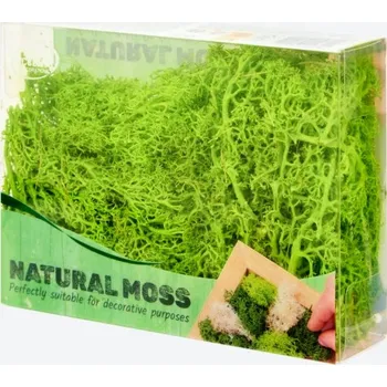 Obraz Dekorativní mech Home Accents - CHROBOTEK přírodní - Světle ZELENÝ