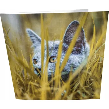 Přání k narozeninám Šťastná kočka 15,5×15,5 cm s obálkou – prázdné, ekologické