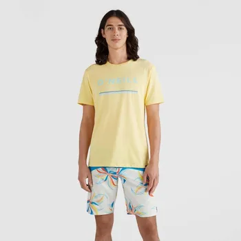 Pánská móda Pánské tričko s kulatý výstřihem O'Neill, velikost M