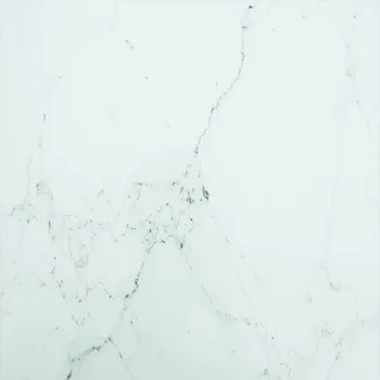 Konferenční stolek vidaXL Stolní deska 60 x 60 cm 6 mm tvrzené sklo mramorový design [322255] Barva: Bílá