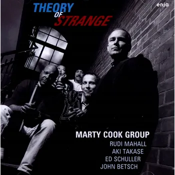 Zahraniční hudba Theory Of Strange Marty Cook Group CD
