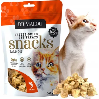 Pamlsek pro psa Lyofilizovaná pamlsek pamlsek pro pro kočky Dr. Malou 100% losos 50g