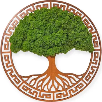 Obraz Mechový strom věčnosti 36 - 60 cm Průměr 50 cm