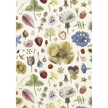 Obálka Přání ST446 B6 + obálka Květy léta