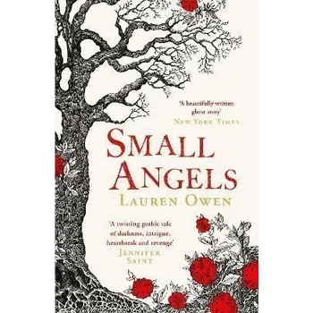 Cizojazyčná kniha Small Angels: ´A twisting gothic tale of darkness, intrigue, heartbreak and revenge´ Jennifer Saint