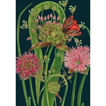 Obraz Přání B6 s obálkou Česnek v noci