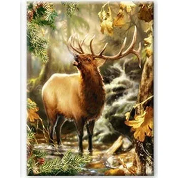 Obraz Diamantová mozaika - Jelen v lese