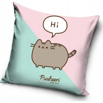Povlak na polštářek Povlak na polštář velvetová sametová polštář kočka pusheen 40x40