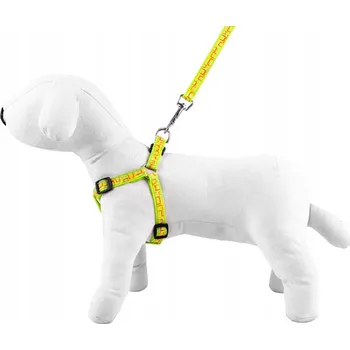 Vodítko pro psa Souprava: vodítko/postroj NT Happet SD54, květinový vzor, zelená, 2.5 cm