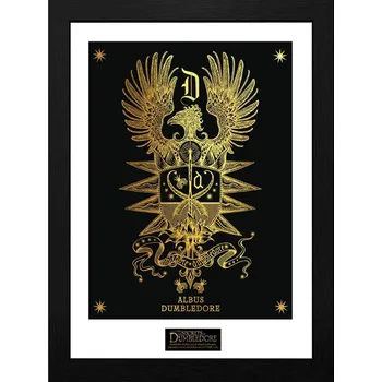 Obraz Plakát FANTASTIC BEASTS 40 x 30 cm