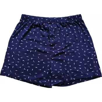 Pánské spodní prádlo Pánské trenýrky Molvy 100% Bavlna KP104 XL