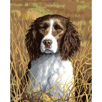 ZUTY Malování podle čísel 40x50 cm bez rámu, M00-040-050-601600