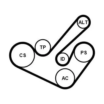 Sada kladky s žebrovaným řemenem CONTITECH 6PK1555K9