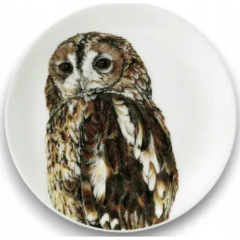 Talíř Dezertní talíř Roy Kirkham 20 cm - RSPB Tawny Owl (Puštík obecný)
