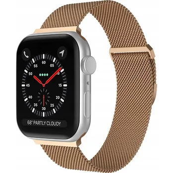 Řemínek na hodinky Kovový řemínek LEVCORP pro Apple Watch 42/44/45/49 mm MILANESE Zlatý
