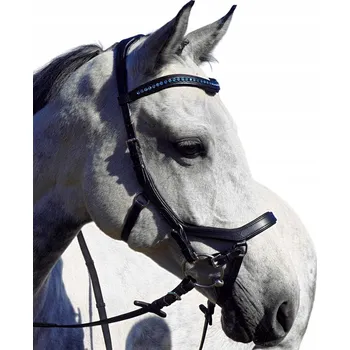 Ohlávka Balotade anatomické 3 (full)