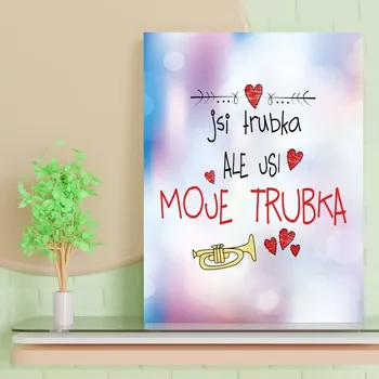 Plechová cedule Sablio Dárková cedulka Jsi trubka, ale jsi moje trubka: 30x40 cm
