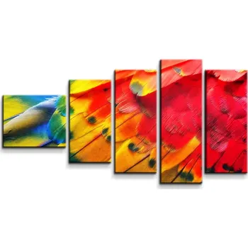 Obraz Sablio Obraz - 5-dílný Barevné peří 2 - 100x60 cm