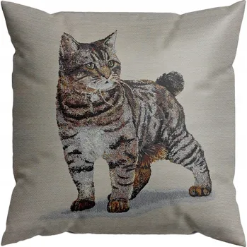 Povlak na polštářek Dekorační povlak na polštář Jedeka 45 x 45 cm