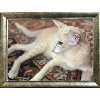 Obraz Rámeček na jedno foto Marek i Darek 15 x 10 cm