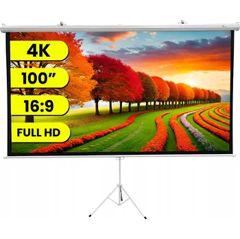 Projekční plátno Projekční plátno 16:9 Extralink Projection Screen 100" (220 cm x 125 cm)