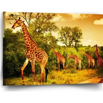 Obraz Sablio Obraz Žirafy - 60x40 cm