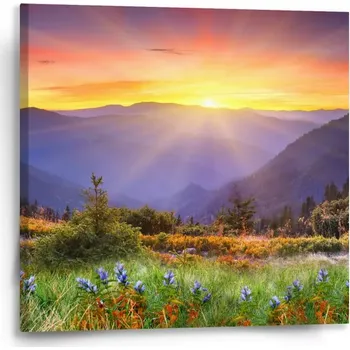 Obraz Sablio Obraz Západ slunce nad lesem - 50x50 cm