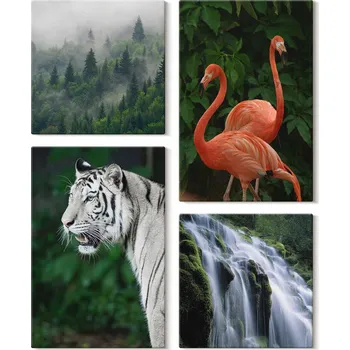 Obraz Sada Dekorací na Zeď Obraz Na Plátně Tygr Vodopád Plameňáci Příroda