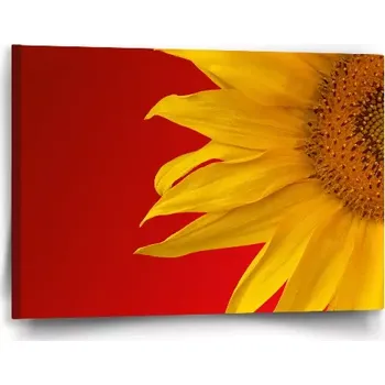 Obraz Sablio Obraz Slunečnice - 60x40 cm