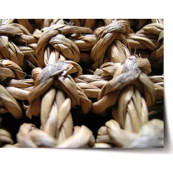 Plakát Sablio Plakát Banánové listí - 60x40 cm