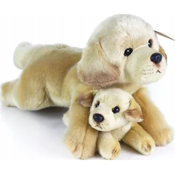 plyšák LABRADOR PLYŠOVÁ HRAČKA REALISTICKÁ 37cm PES ŠTĚNĚ