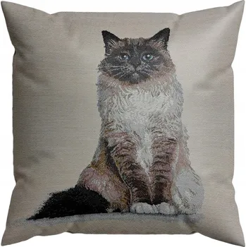 Povlak na polštářek Dekorační povlak na polštář Jedeka 45 x 45 cm