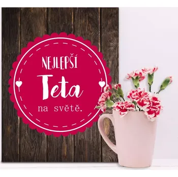 Plechová cedule Sablio Dárková cedulka Nejlepší teta na světě: 30x40 cm