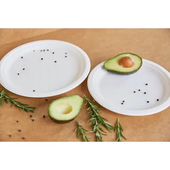 Jednorázové nádobí TALÍŘ EKO Z CUKROVÉ TŘTINY 23 cm 50 ks BIO