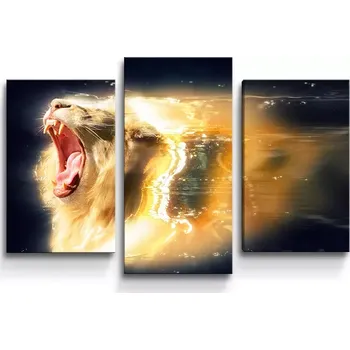 Obraz Sablio Obraz - 3-dílný Lev art - 75x50 cm