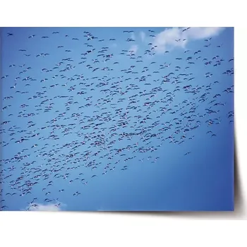 Plakát Sablio Plakát Hejno ptáků - 60x40 cm