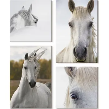 Obraz Dekorativní Sada Obrazů na Zeď Tištěných na Plátně Set Bílí Koně