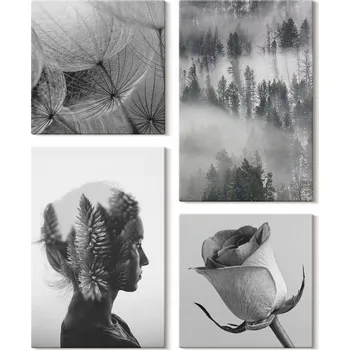 Obraz Sada obrazů na plátně na zeď do bytu Les Mlha Portrét ženy