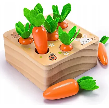 Dřevěná hračka Montessori Hračka Třídič Kostek Dřevěná Mrkev