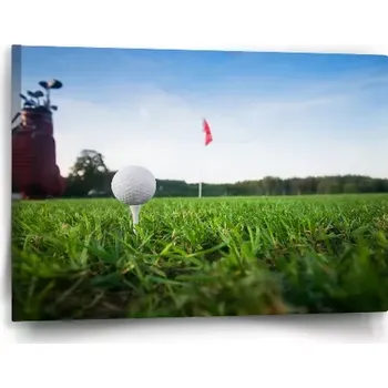 Obraz Sablio Obraz Golf - 60x40 cm