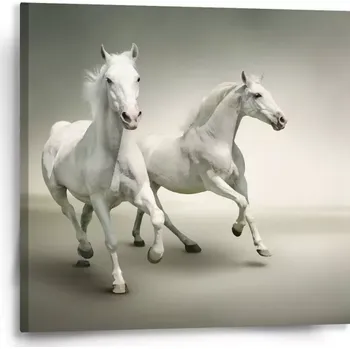 Obraz Sablio Obraz Dva bílí koně - 50x50 cm