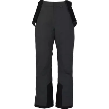 Pánské kalhoty Pánské lyžařské kalhoty Whistler Drizzle M Ski Pant W-Pro 10000 Velikost: XL
