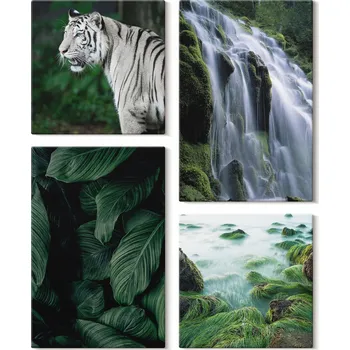 Obraz Sada Dekorací na Zeď Obraz Na Plátně Bílý Tygr Vodopád Listy