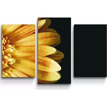 Obraz Sablio Obraz - 3-dílný Žlutá gerbera - 75x50 cm
