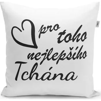 Polštář Sablio Polštář Pro toho nejlepšího tchána: 40x40 cm
